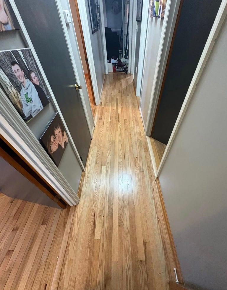 Long narrow hallway with wooden flooring and white doors with dark panels on both sides